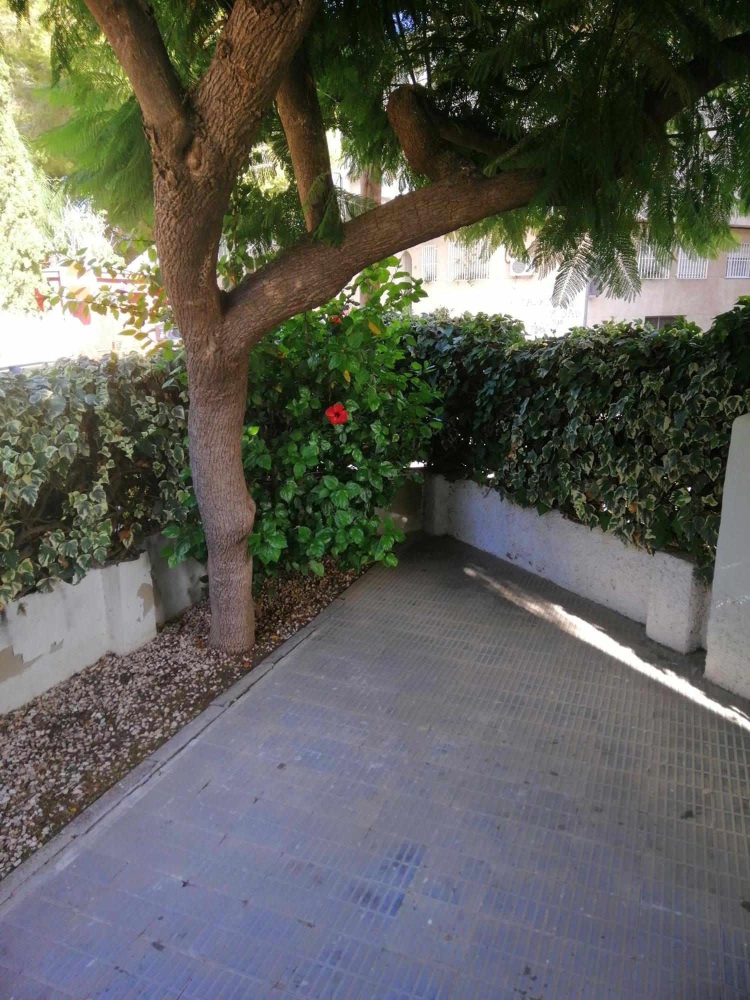 Chalet II Con Jardin Y Wifi En La Playa San Pedro del Pinatar Luaran gambar